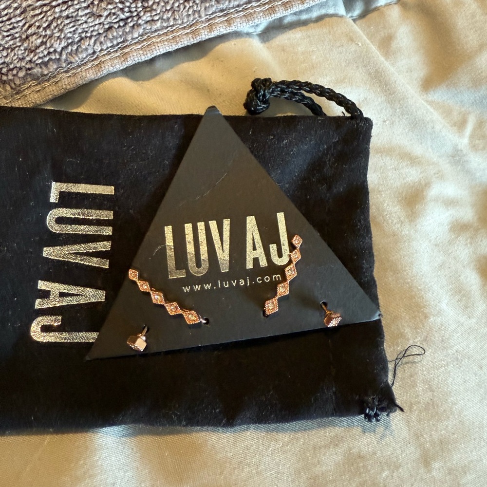 Luv AJ Geometric Rose Gold Earrings